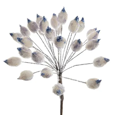Produktbild von Blüte Dekoblüte Bärenklau Frostfinish