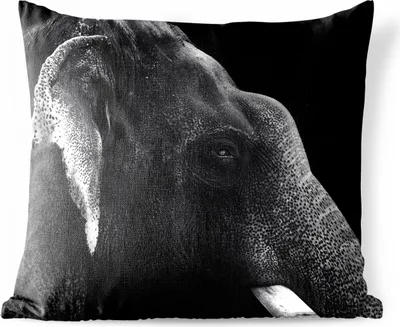 Produktbild von MuchoWow® Outdoor Kissen - Tierprofil Elefant in Schwarz und Weiß - 50x50 cm - Wetterfest - Lounge Kissen - Komfortabel - Kissen mit Bild