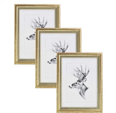 Image de Ensemble de 3 cadres photo en bois, avec verre véritable, style Artos | Or | 20x30 cm