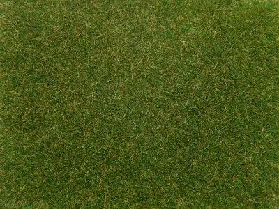 Produktbild von NOCH Streugras mittelgrün, 4 mm, 20g 08364