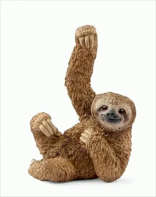 Produktbild von Schleich® Wild Life 14793 Faultier Spielfigur