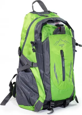A green and gray backpack shown from the front-side.
