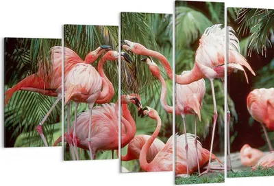 Produktbild von Bild auf Leinwand - Leinwandbild - 5 Teile - Palmen Herde Flamingos - 150x100cm - Wand Bild - Wanddeko - Wandbilder - Leinwanddruck - Bilder - Wanddekoration - Leinwand bilder - EG150x100-4804