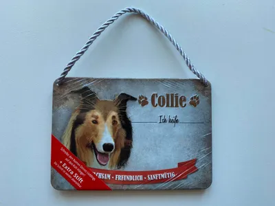 Produktbild von Kulthänger Blechschild Collie KH-PET011