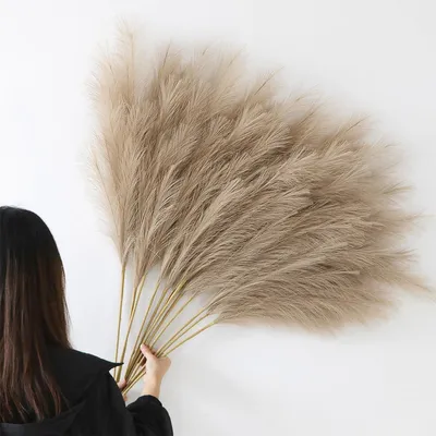 Zdjęcie produktu dla Trawa pampasowa 113 cm, 12 sztuk, brązowa, do salonu