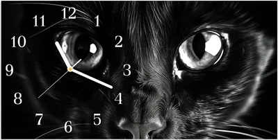 Produktbild von Wanduhr aus Glas mit Motiv Katzengesicht- 60 x 30 cm - inkl. Aufhängesystem