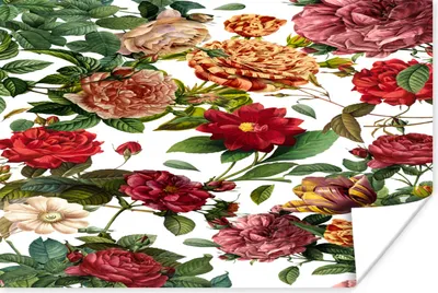 Produktbild von MuchoWow® Poster Blumen - Orange - Rot - Weiß 60x40 cm - Schlafzimmerdekoration