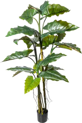 Produktbild von Kopu® Kunstpflanze Colocasia 180 cm - 19 Blätter - im schwarzen Topf