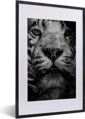 Produktbild von MuchoWow® Gerahmtes Poster Nahaufnahme von Blättern und einem weißen Tiger im Dschungel - schwarz und weiß 40x60 cm - Poster mit Schwarzem Bilderrahmen Wandposter Rahmen Foto Bilder - Poster in Rahmen