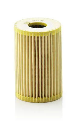 Immagine prodotto di Filtro olio per autoveicoli HU610x