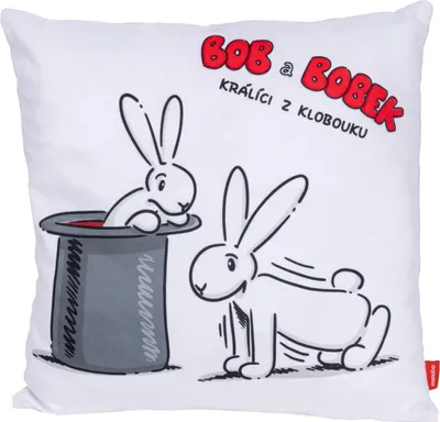Produktbild von Bob und Bobek, Kissen 30 x 30 cm, trainieren