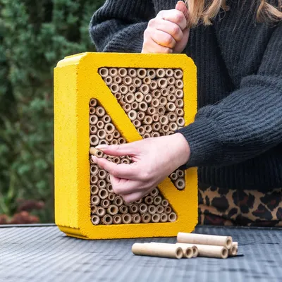 Produktbild von Bambusröhrchen für Woodstone-Insektenhotels 70 mm, 100 Stück