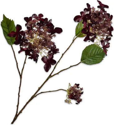 Produktbild von Kunstblume von Silk-ka – Seidenblumen-Hortensienzweig, Bordeauxrot, 99 cm
