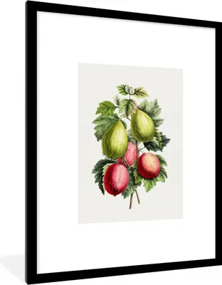 Produktbild von MuchoWow® Gerahmtes Poster Obst - Feigen - Lebensmittel 60x80 cm - Poster mit Schwarzem Bilderrahmen Wandposter Rahmen Foto Bilder - Wohnzimmer - Dekorationen - Prämie