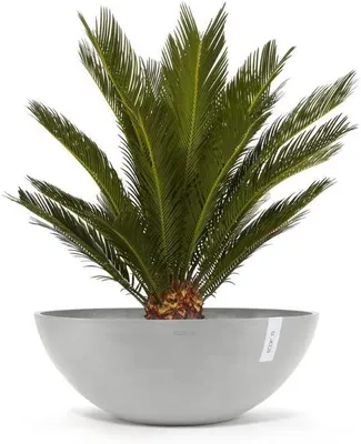 Imagen del producto de Macetas redondas, blancas/grises, diámetro 70 cm x altura 25,2 cm, para plantas