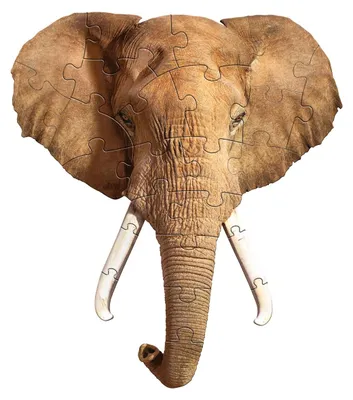 Produktbild von MAD CAPP Puzzle Elefant - Tierpuzzle für Kinder 24 Teile