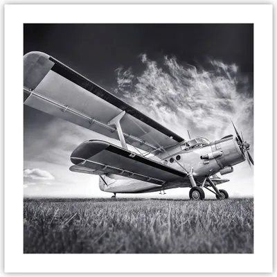 Produktbild von Poster - Poster ohne Rahmen - Flugzeug An-2 Schwarzweiß - 50x50 cm - Wand Bild - Wanddeko - Wandbilder - Kunstposter - Wandposter - Bilder - Kunstdruck - Wanddekoration - Wandbild - P2XAC50x50-4363