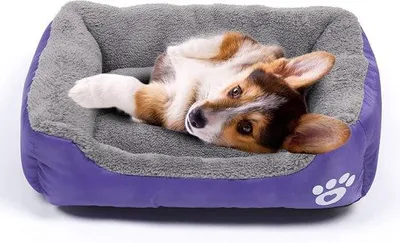 Immagine prodotto di Cuccia impermeabile per cani, morbido cuscino, viola, lavabile