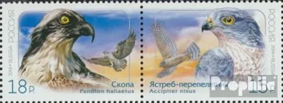Produktbild von Briefmarken Russland 2014 Mi 2095-2096 Paar (kompl.Ausg.) postfrisch Vögel