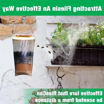 Set aus 3 Fliegenfallen für drinnen und draußen - Transparente Fliegenfalle mit Fliegenlockstoff, ideal für Garten