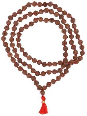 Produktbild von 6 Mukhi Rudraksha Mala aus Indien, Braun, Holz, Ketten & Modeschmuck für den Hals