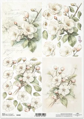 Zdjęcie produktu dla Papier ryżowy do decoupage A4 ITD-R2589 gałązki kwiatów wiśni