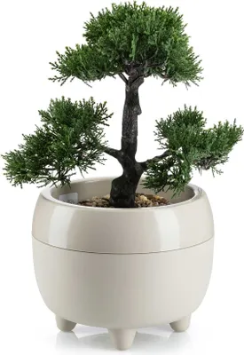 Produktbild von HowHomely | Pflanzkübel - Botanica - 30x24 cm - Beige - Elegantes Design - Praktische Füße