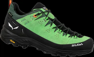 Produktbild von Wanderschuhe Alp Trainer 2 Gore-Tex (Herren) – Salewa, Farbe:5660 Pale Frog, Größe:UK 10 (EUR 44.5)
