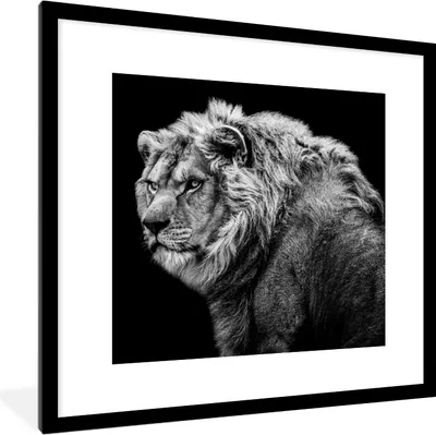 Produktbild von MuchoWow® Gerahmtes Poster Löwe - Porträt - Wildtiere - Schwarz - Weiß 40x40 cm - Poster mit Schwarzem Bilderrahmen Wandposter Rahmen Foto Bilder - Poster - Plakat im Rahmen