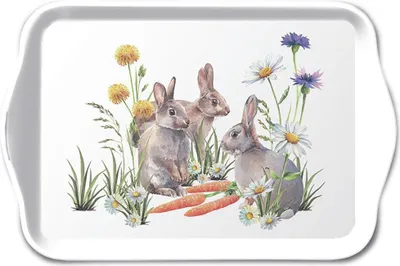 Produktbild von Ostern – Tablett melamine 13x21 cm Carrot treat - Hasen mit Karotten