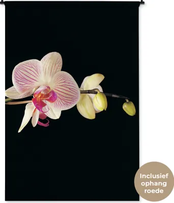 Produktbild von MuchoWow® Wandteppich Wandbehang Orchidee - Blumen - Schwarz - Rosa - Knöpfe 120x180 cm Tapisserie Dekoration Wandtuch - Schlafzimmer - Dekorationen für das Haus