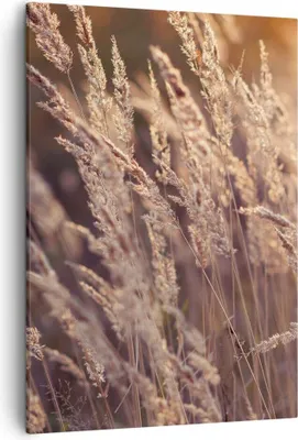 Produktbild von Bild auf Leinwand - Leinwandbild - Einteilig - Boho Ähren Feld - 50x70cm - Wand Bild - Wanddeko - Wandbilder - Leinwanddruck - Kunstdruck - Wanddekoration - Leinwand bilder - Wandbild - PA50x70-4838