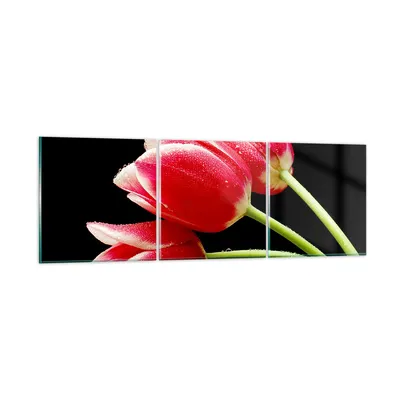 Produktbild von Bilder auf glas - Tulpe garten blume blumenstrauß - 90x30cm - Glasbilder - Wandbilder - Kunstdruck - zum Aufhängen bereit - Wanddekoration aus Glas - Glas Bilder - Wandbild auf Glas - GCA90x30-1494