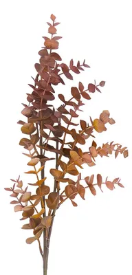 Produktbild von Clayre & Eef Kunstblume Braun Kunststoff