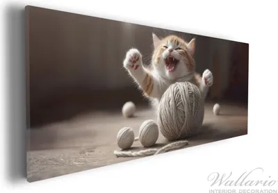 Produktbild von Wallario Premium Leinwandbild Katze mit Wollknäuel in Größe 30 x 75 cm