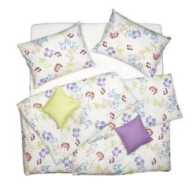 Obrázek produktu pro SCANquilt povlečení KLASIK rostliny pastelová 100% bavlna 140 x 200/70 x 90 cm