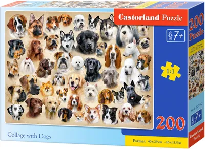 Produktbild von Castorland Collage with Dogs Puzzle 200 Teile