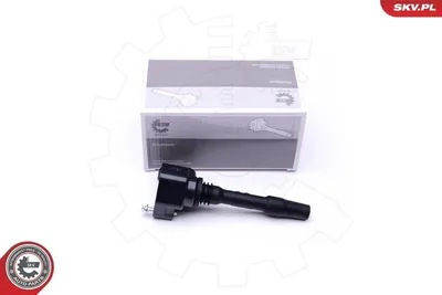 Immagine prodotto di ESEN SKV 03SKV277 Bobina di accensione 12 V per BMW Serie 3 Hatchback (F20), Serie 3 Touring (F31), Serie 3 Berlina (F30, F80), Serie 5 Touring (G31), X1 (F48), Serie 5 Berlina (G30, F90)