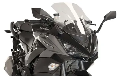 Immagine prodotto di Cupolino moto Puig Racing trasparente