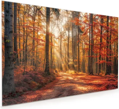 Produktbild von Küchenrückwand Spritzschutz Glas mit Motiv Herbstlicher Waldweg 40 x 40 cm