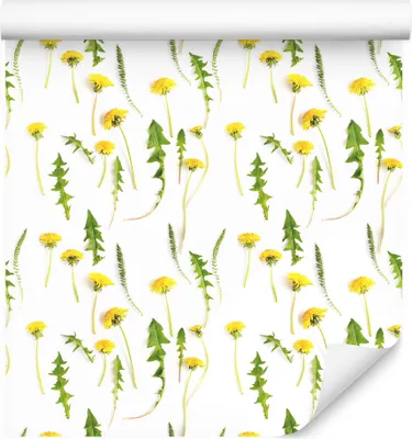Produktbild von 10m VLIES TAPETE Rolle Natur Flora Blumen Feldblumen Gänsedistel Gemalt XXL