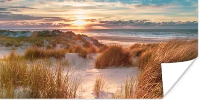 Produktbild von MuchoWow® Poster Düne - Pflanzen - Sonnenuntergang - Strand - Meer 40x20 cm - Poster für die Wand - Poster Schlafzimmer