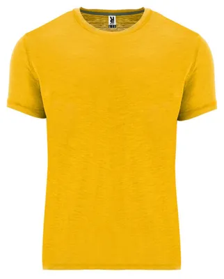 Produktbild von Roly - "Terrier" T-Shirt für Herren LT4893 (S) (Senf)