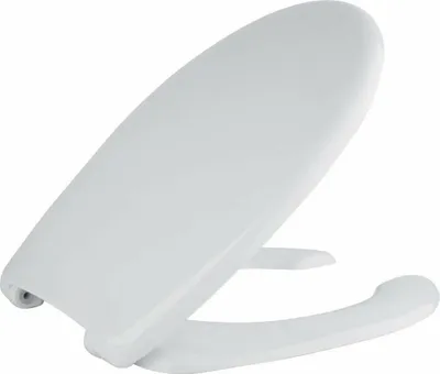 A white toilet seat is shown against a white background.