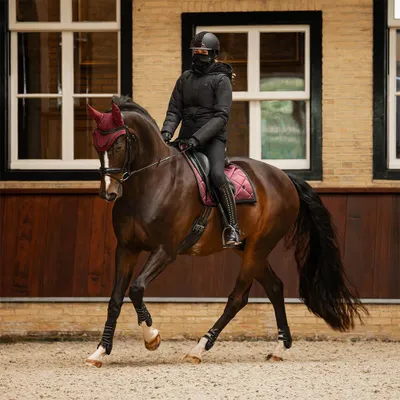 Produktbild von QHP Schabracke Zahra, Farbe:Weinrot, Größe:Dressur