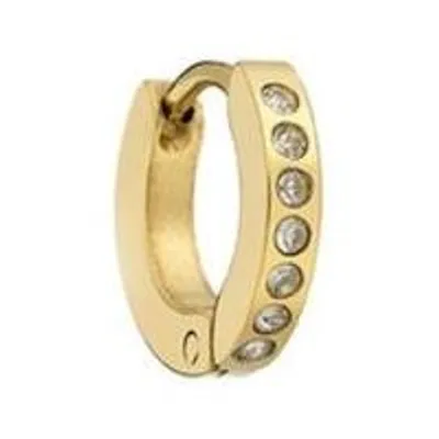 Produktbild von Damenohrringe AN Jewels AS.PH06YC