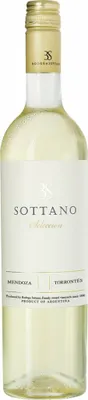 Produktbild von Torrontés I.P. Mendoza - Argentina Mendoza | Argentinien | 13,0% vol | 0,75 l