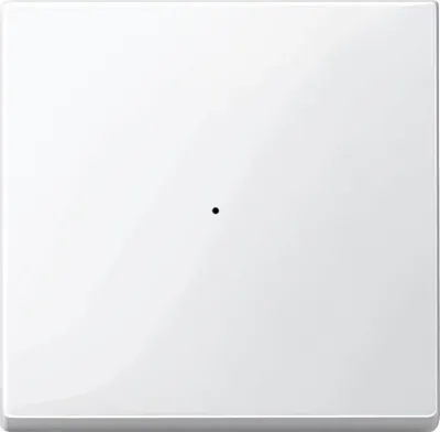 Produktbild von MERTEN Wippe 619119 Tastermodul 1f. polarweiß gl. M