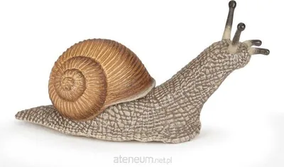 Immagine prodotto di Papo Lumaca Play Figure