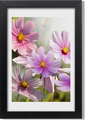 Produktbild von Bild 20x30 MDF-Rahmen, Wandkunst Wildblumen
